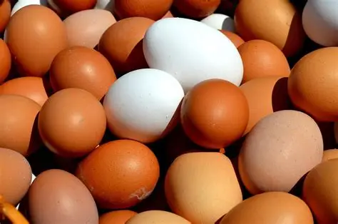 Poultry Eggs